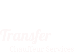 Transfer Me white logo